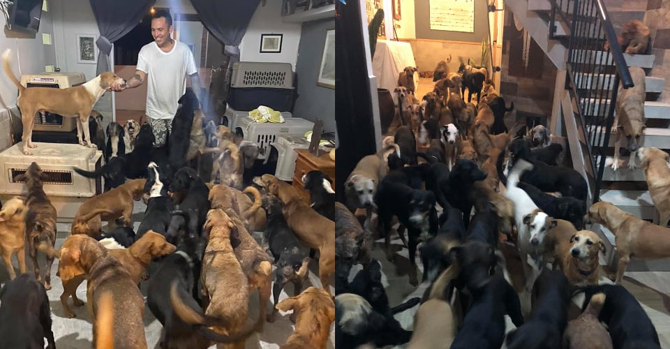 El mexicano Ricardo Pimentel albergó a mas de 300 animales para protegerlos del paso de huracán Delta